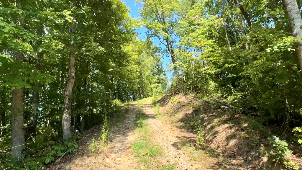 Lot 8 Lookout Valley Trail