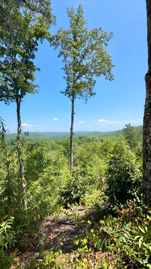 Lot 8 Lookout Valley Trail