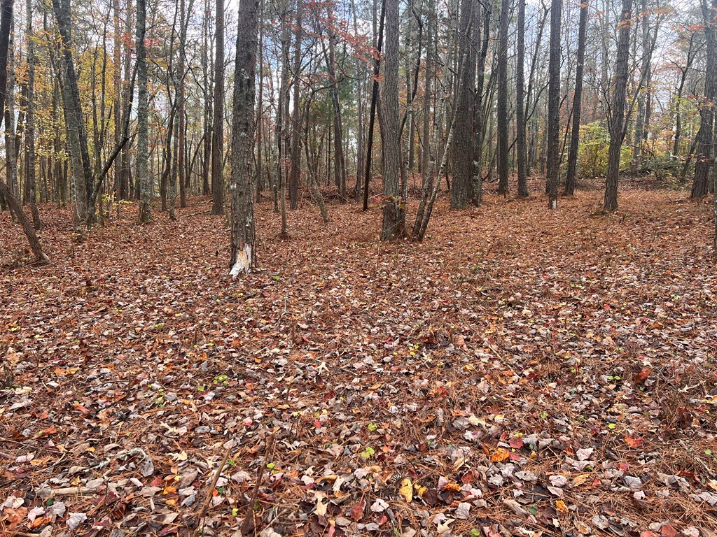 0 Doll Mountain Road