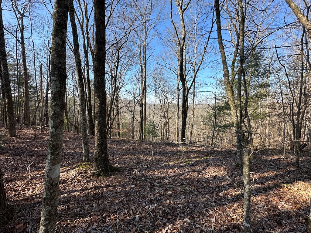 Lot 1640 Hunter Drive