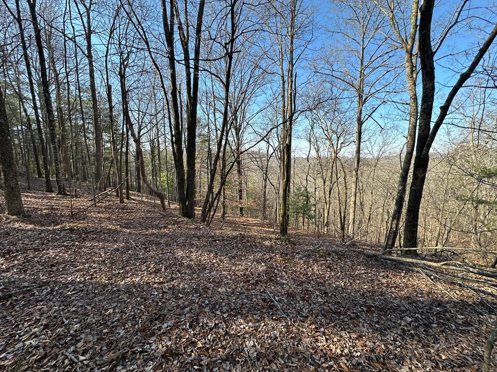 Lot 1640 Hunter Drive