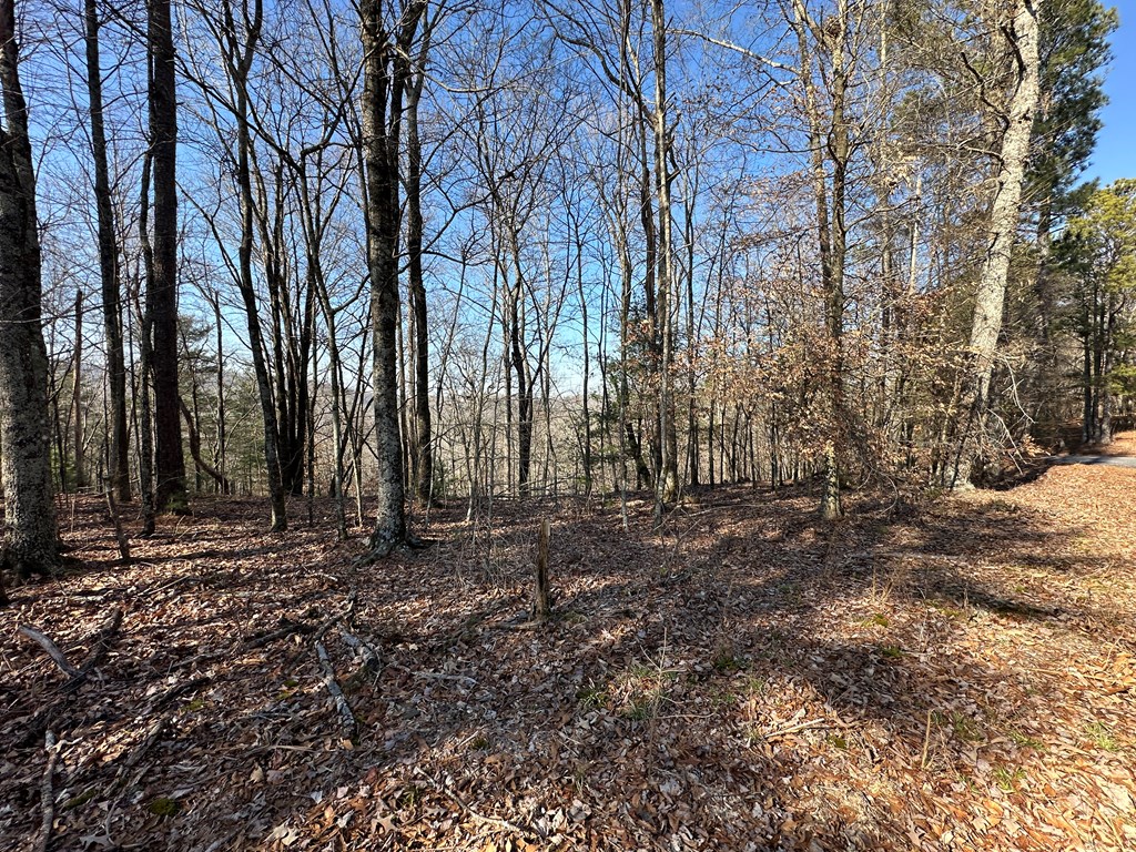 Lot 1640 Hunter Drive