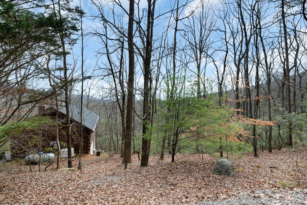 173 Mountain Laurel Lane