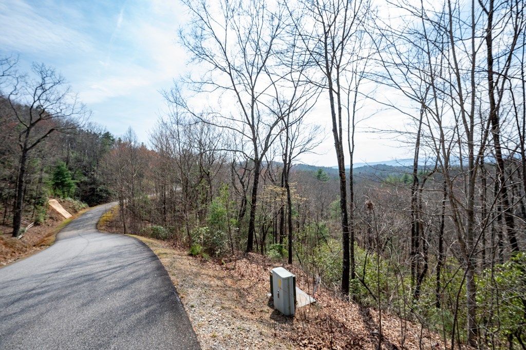 Lot 7 Oceola Drive