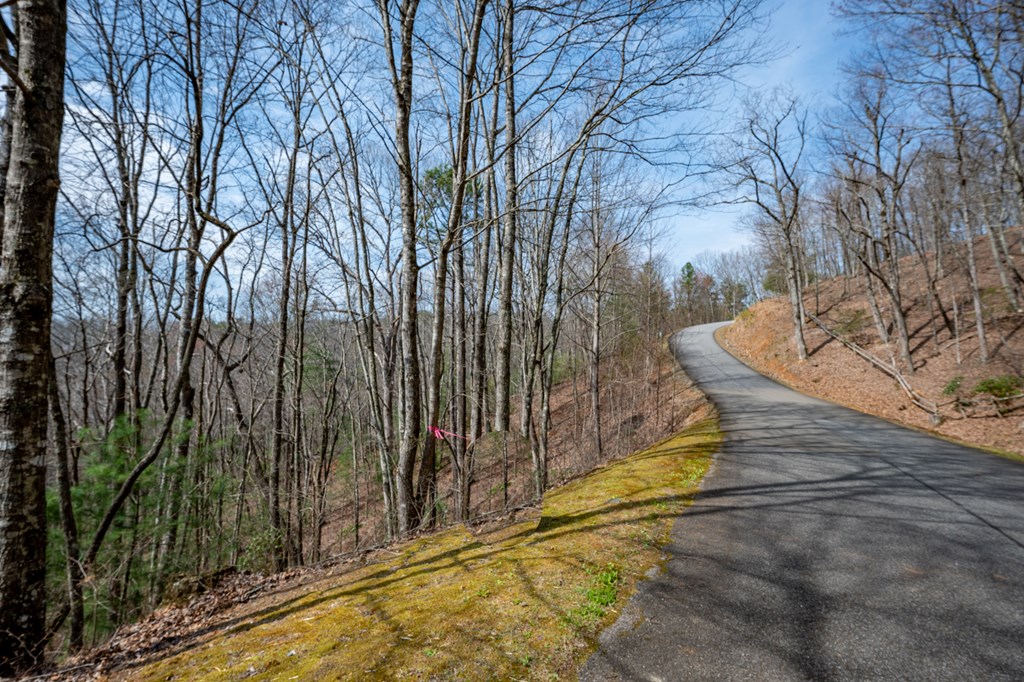 Lot 7 Oceola Drive