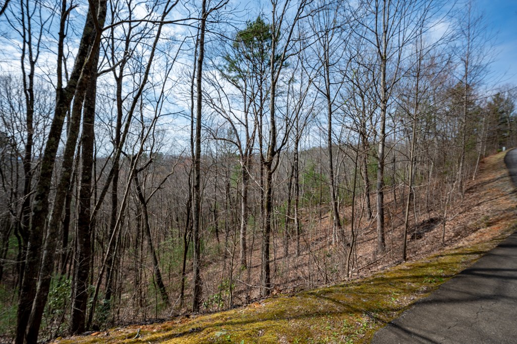 Lot 7 Oceola Drive