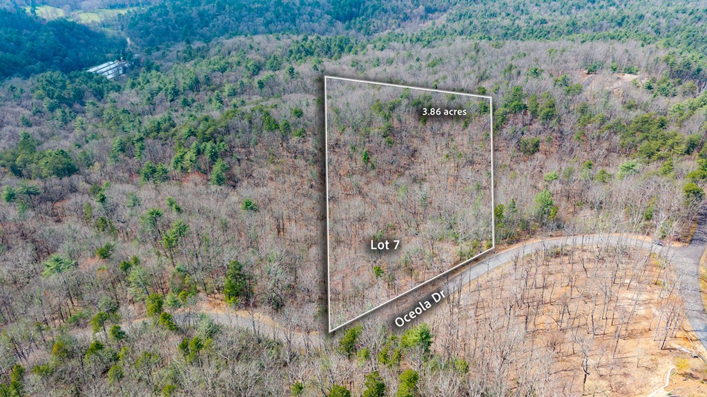 Lot 7 Oceola Drive
