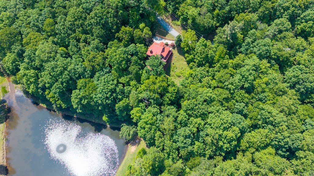 561 Summit Lane