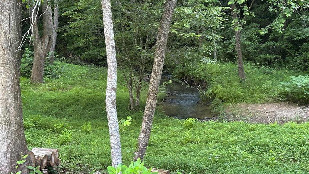 Lot 103 Rhondas Way