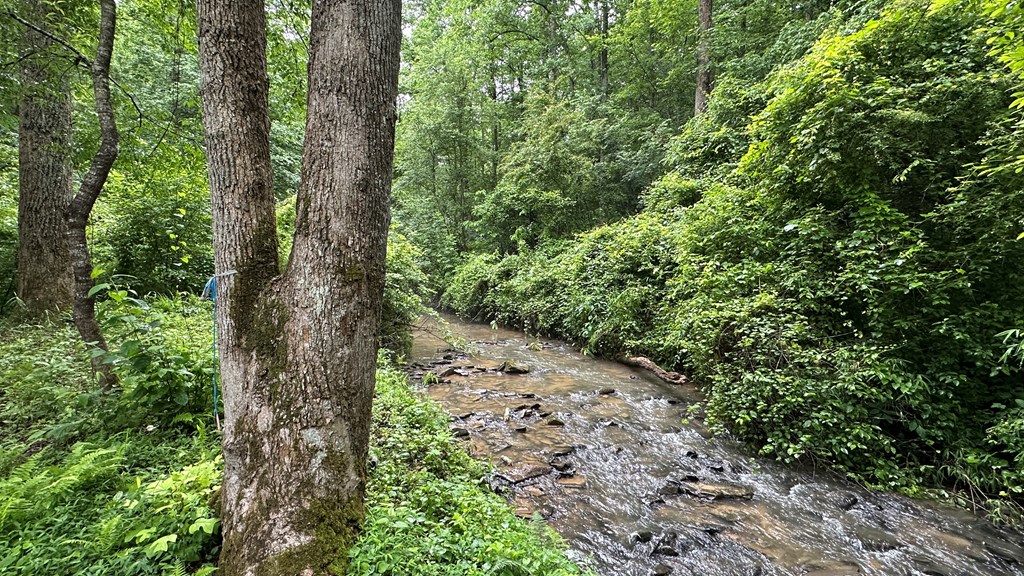 Lot 103 Rhondas Way