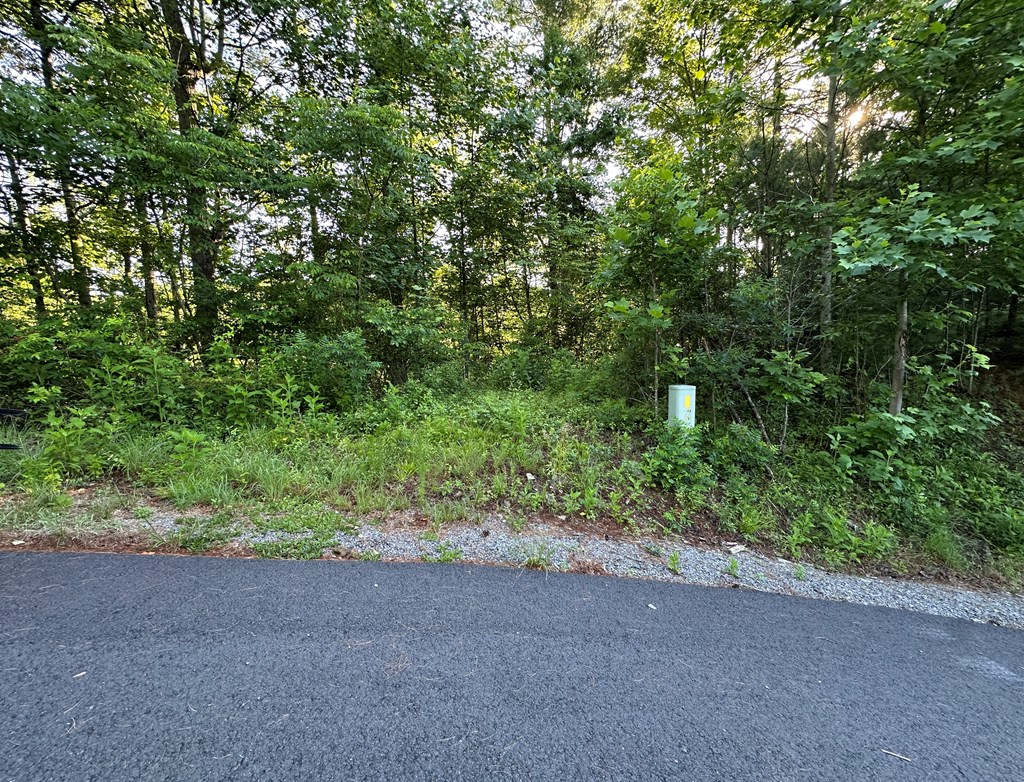 Lot 103 Rhondas Way