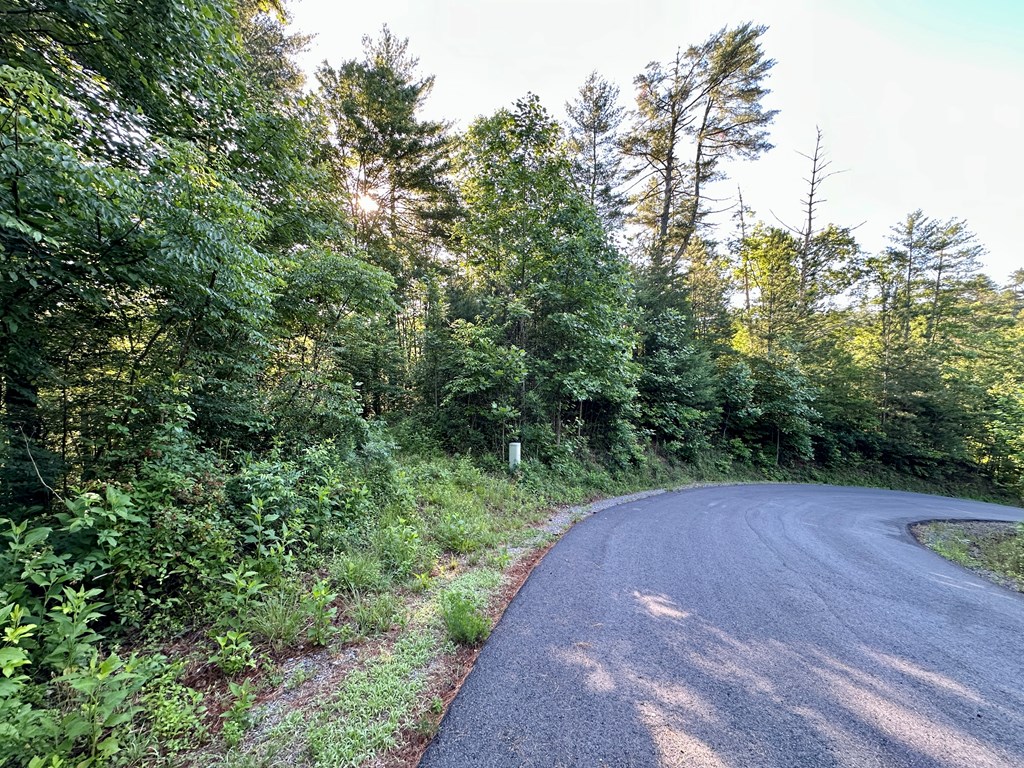 Lot 103 Rhondas Way