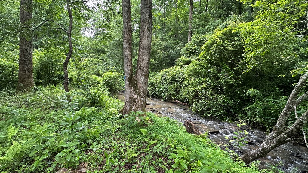 Lot 103 Rhondas Way