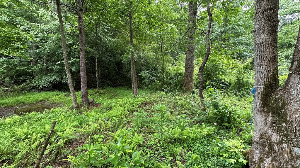 Lot 103 Rhondas Way
