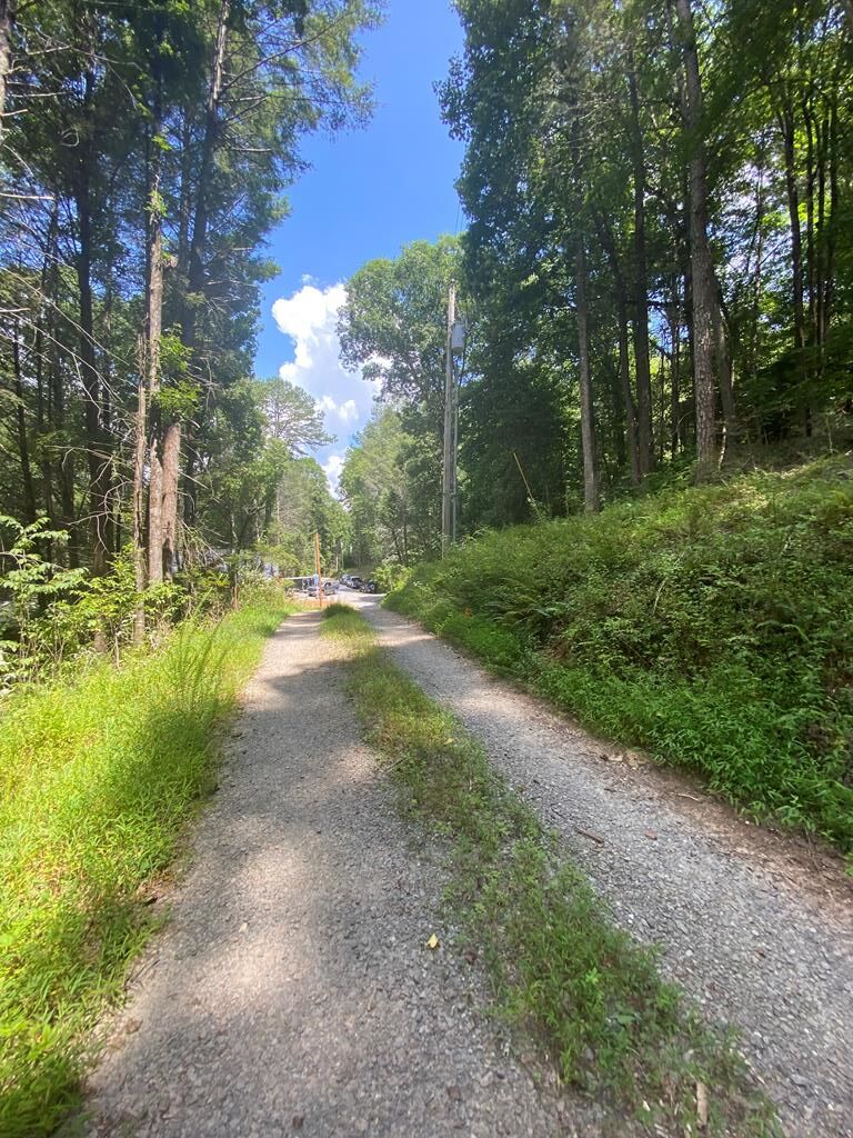 Blue Ridge