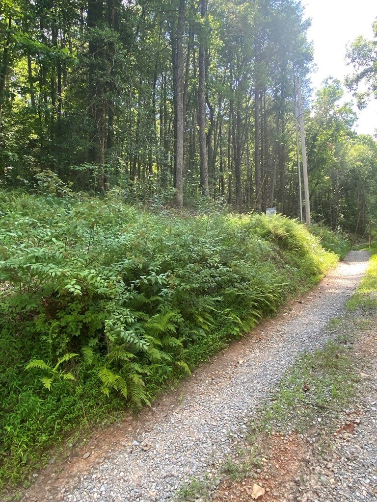 Blue Ridge