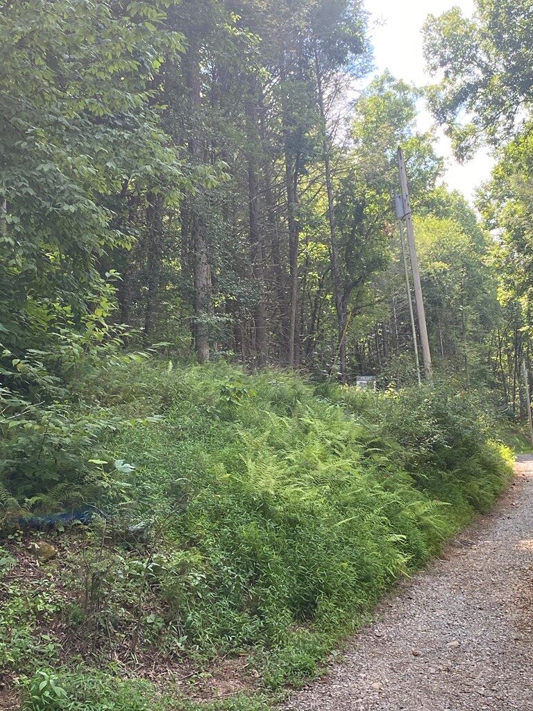 Blue Ridge