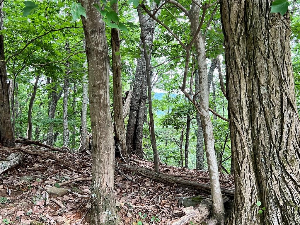 3395 Bella Vista Trail