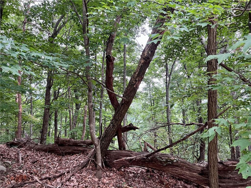 3395 Bella Vista Trail