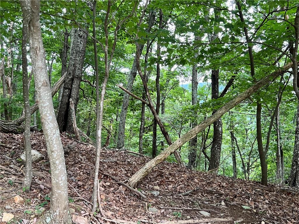 3395 Bella Vista Trail