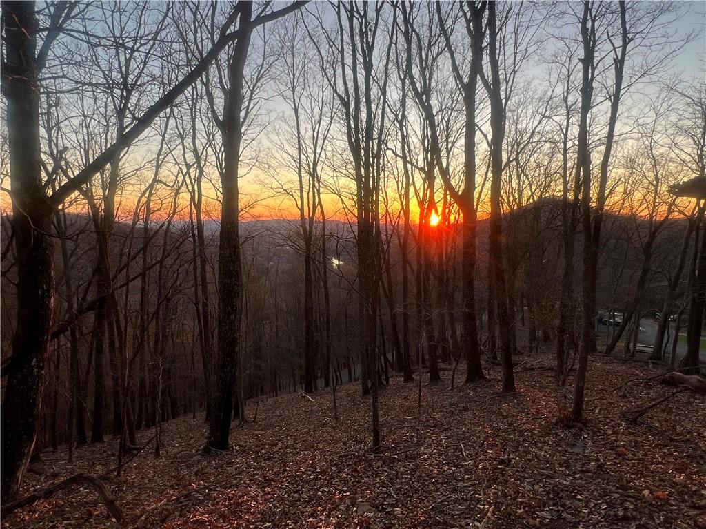 3395 Bella Vista Trail
