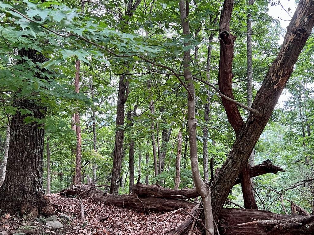 3395 Bella Vista Trail
