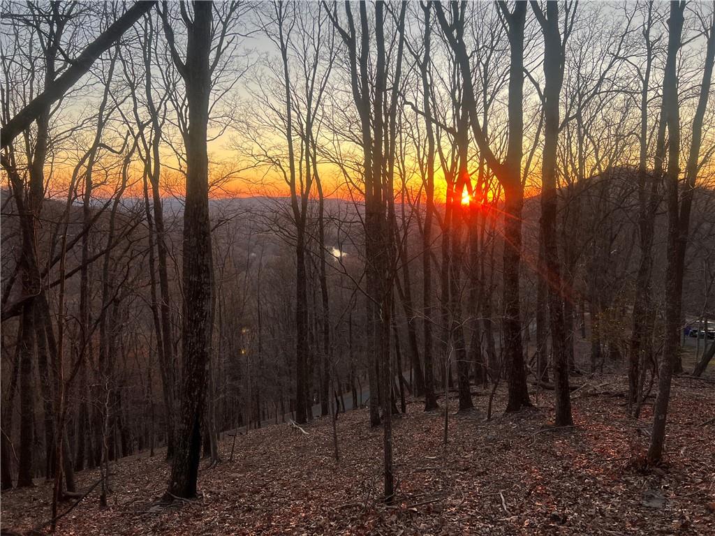 3395 Bella Vista Trail
