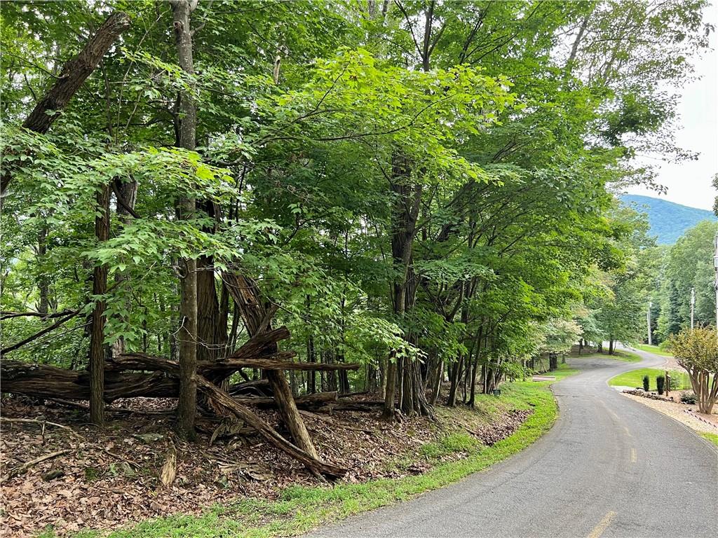 3395 Bella Vista Trail