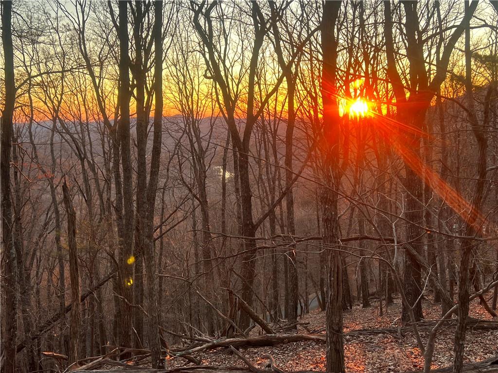 3395 Bella Vista Trail