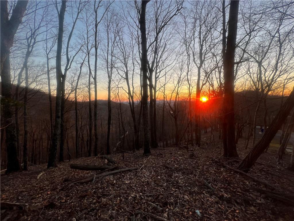 3395 Bella Vista Trail