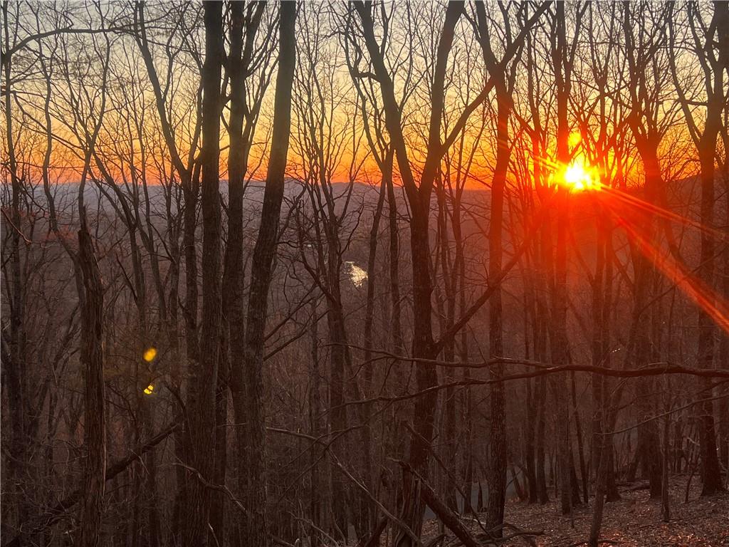 3395 Bella Vista Trail