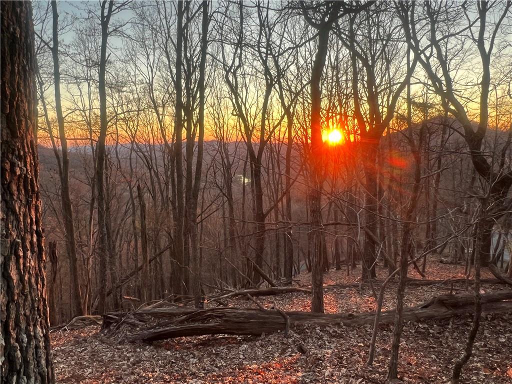 3395 Bella Vista Trail