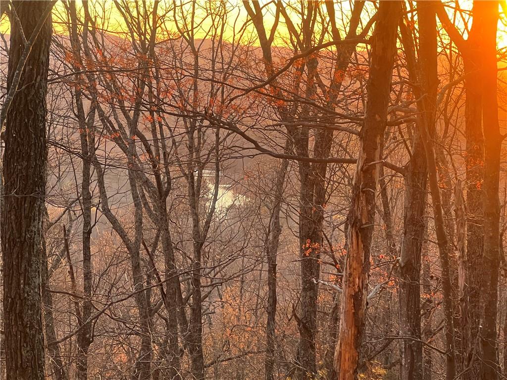 3394 Bella Vista Trail