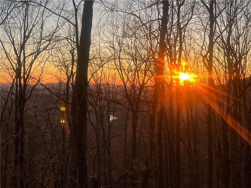 3394 Bella Vista Trail