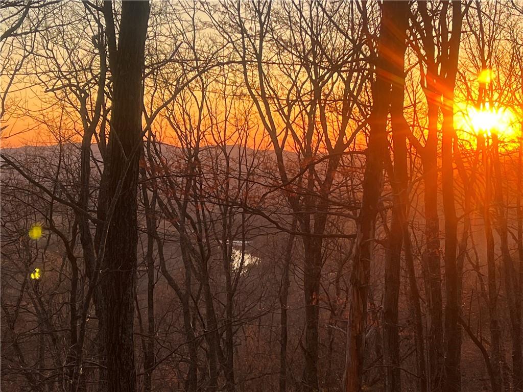 3394 Bella Vista Trail