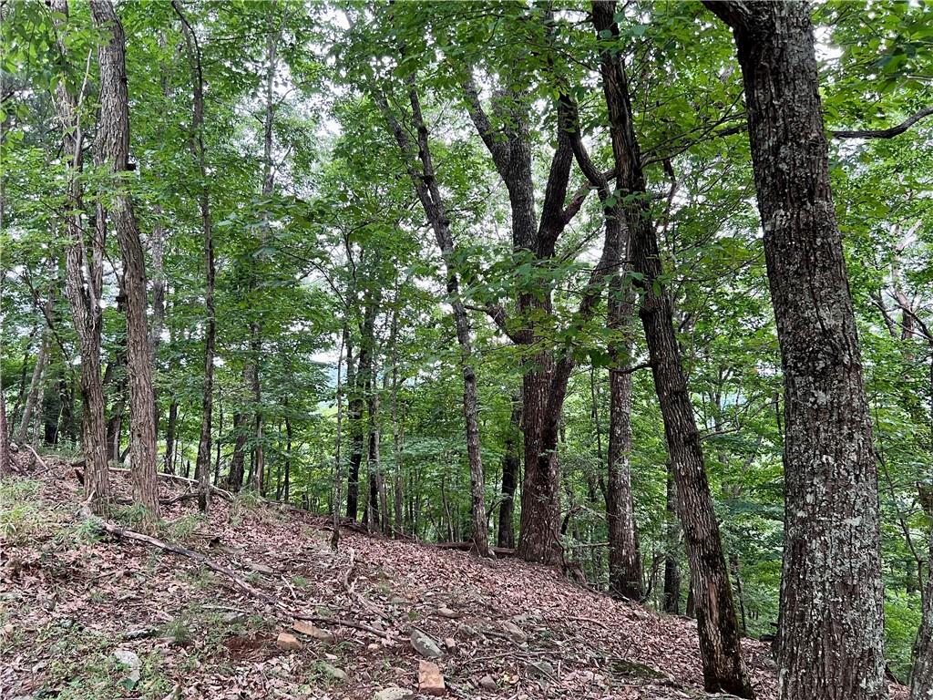 3394 Bella Vista Trail