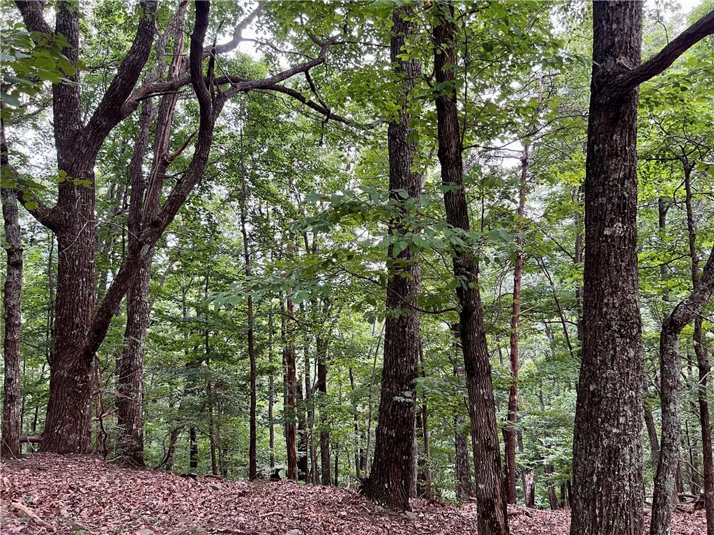 3394 Bella Vista Trail