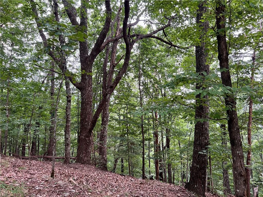 3394 Bella Vista Trail