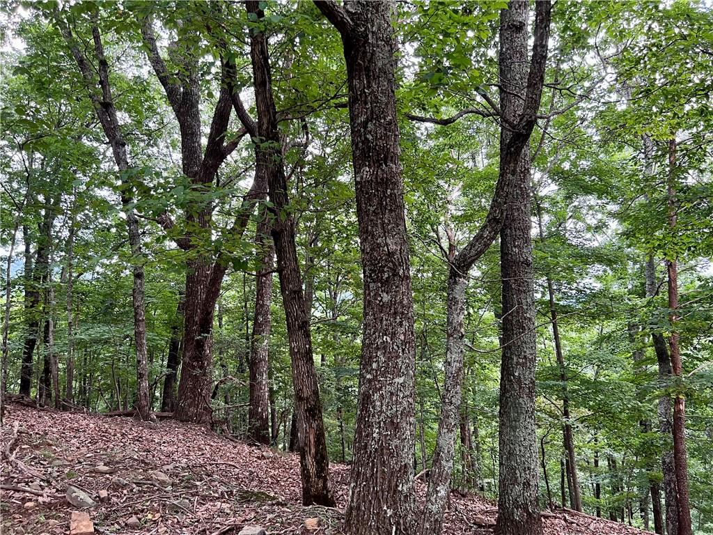 3394 Bella Vista Trail