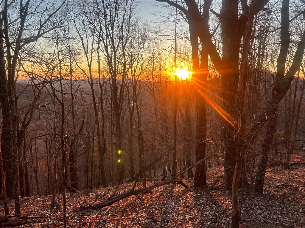 3394 Bella Vista Trail