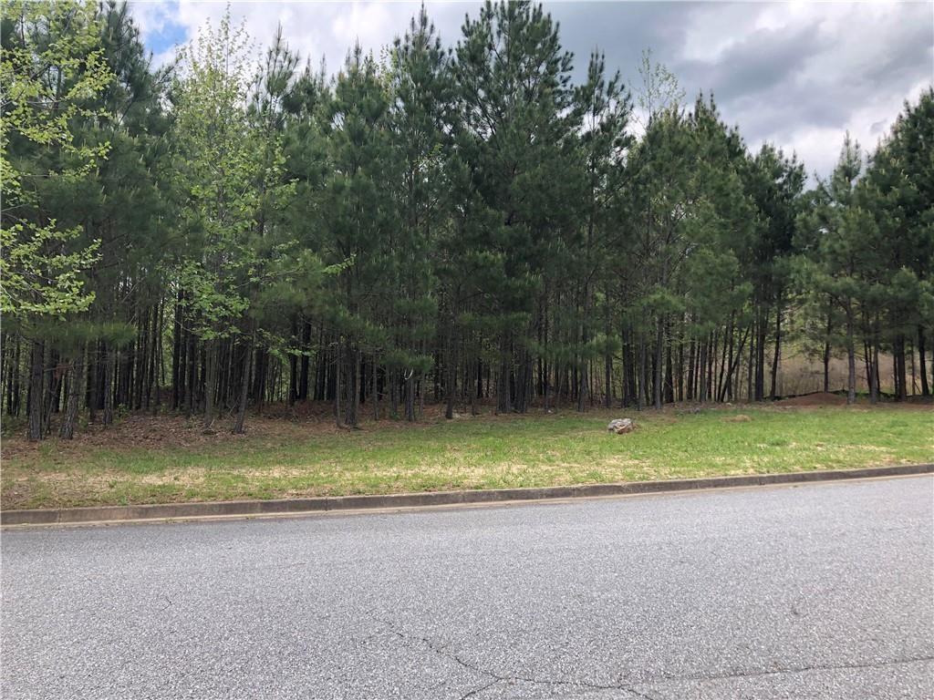 1010 Darby Ford Lane