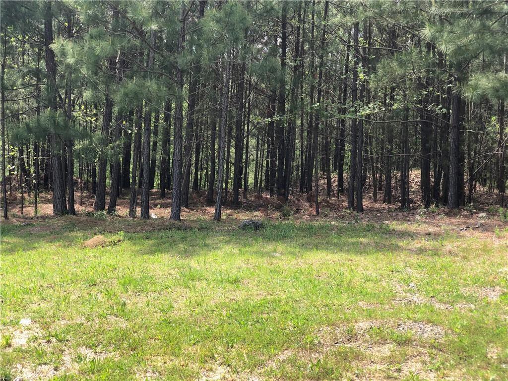 1010 Darby Ford Lane