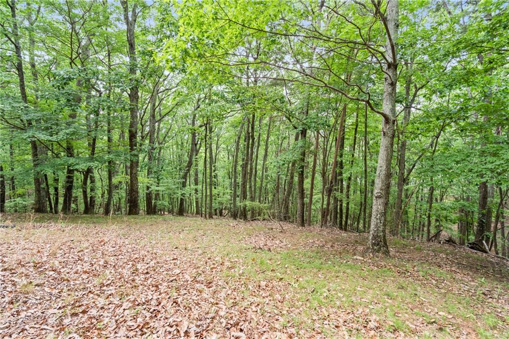 188 Little Hendricks Mountain Road