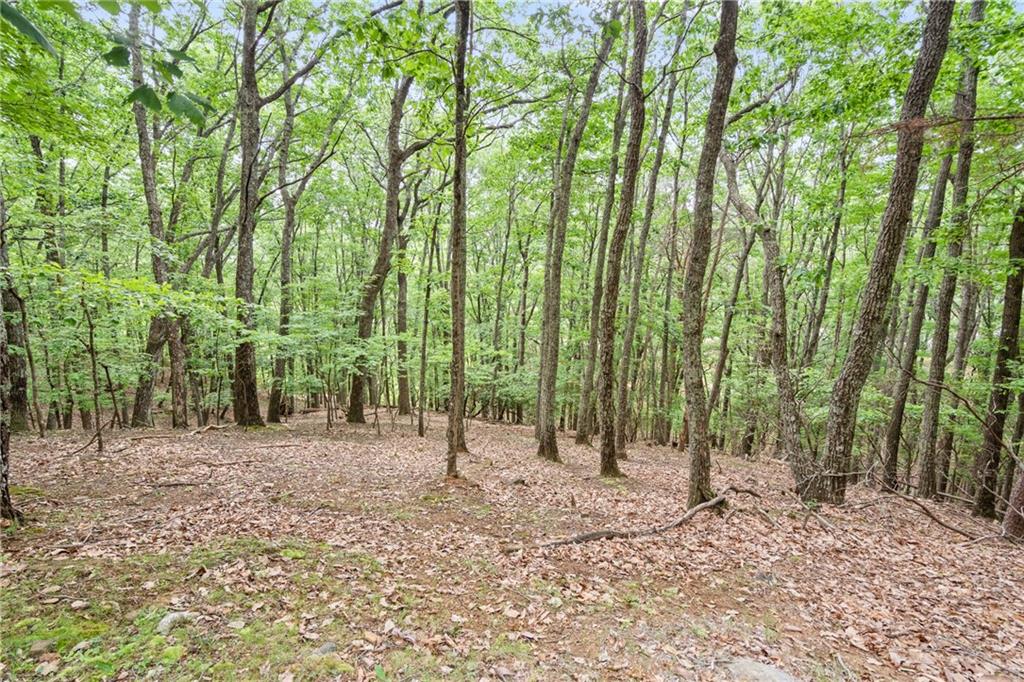 188 Little Hendricks Mountain Road