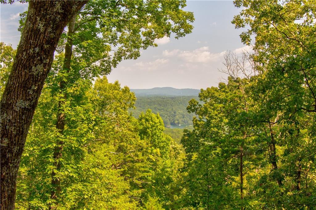 814 Lake Arrowhead Drive