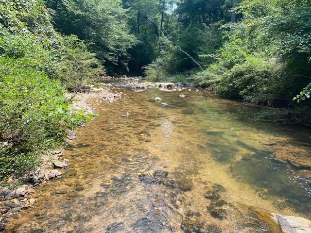 0 Saddlebrook Court Court