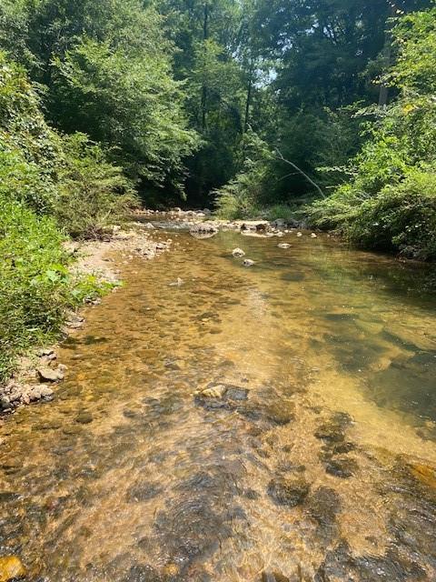 0 Saddlebrook Court Court