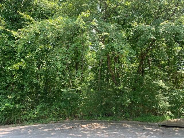 0 Saddlebrook Court Court