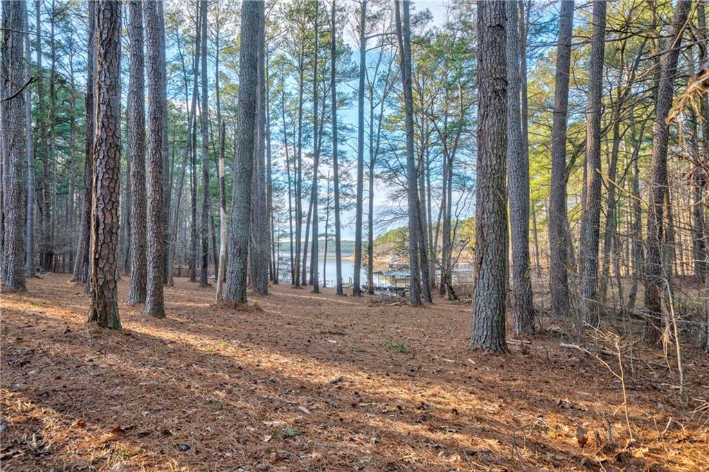 809 Willow Oak Circle