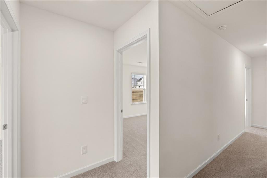 787 Black Maple Court